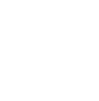 end-to-end ownership x