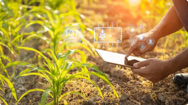 agriculture shopify development