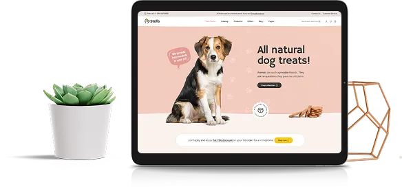 adobe-commerce-support-and-maintenance-octal-digital